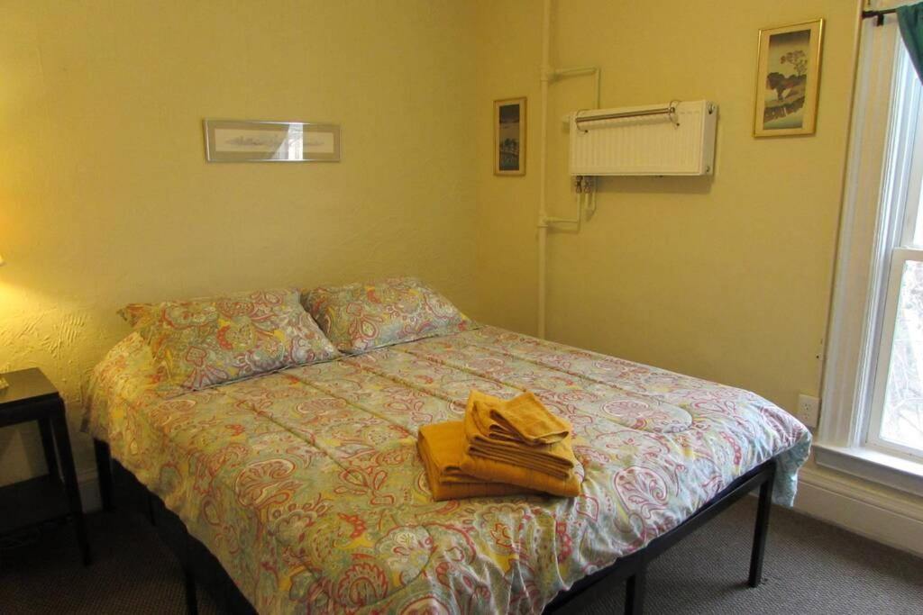 Great Gorge Guesthouse - Walk To The Falls, The Casino And All Downtown Restaurants - Across From The Aquarium Niagara Falls Exterior foto