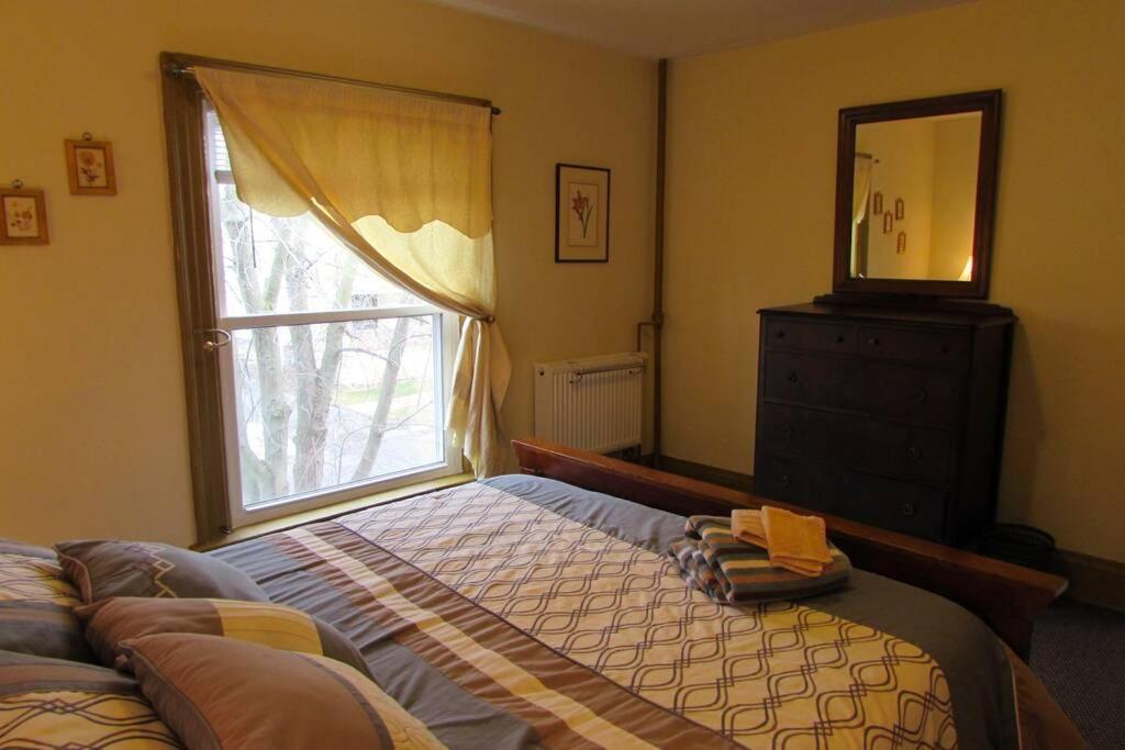 Great Gorge Guesthouse - Walk To The Falls, The Casino And All Downtown Restaurants - Across From The Aquarium Niagara Falls Exterior foto
