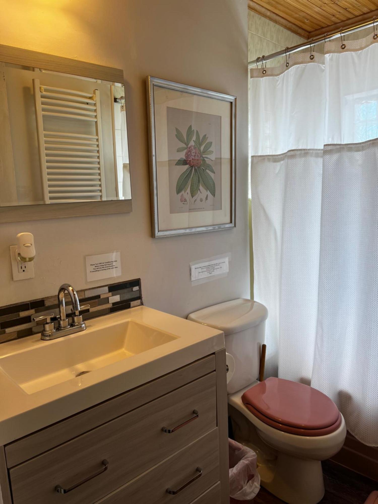 Great Gorge Guesthouse - Walk To The Falls, The Casino And All Downtown Restaurants - Across From The Aquarium Niagara Falls Exterior foto